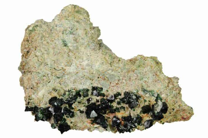 Deep-Green Libethenite Crystal Cluster #169806
